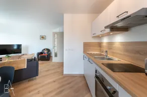 LEsperluette - 44 sqm apartment with garage & balcony in the city center - Image 2