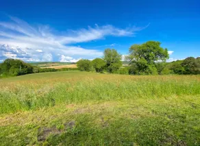 Homerez - Hus i Puygaillard-de-Quercy - Image 3
