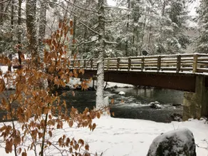 The Ashley Cabin @ Elk Springs Resort - Image 3