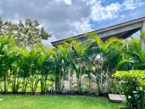 Entire house in Cuernavaca with a pool in a condominium🌴 - Image 2