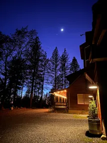 Peaceful 90-Acre Forest Retreat w/ Trails & Gym - Image 4