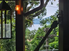 House in the Forest with Ocean View - Ilha Grande - Image 3