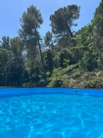 La Casita Amarilla - Image 3