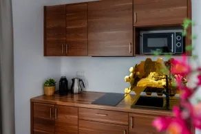 Apartment with a hot tub and mountain views - Image 5