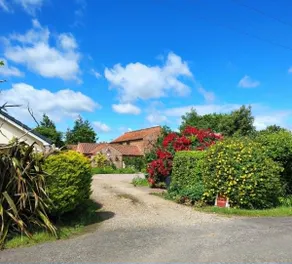 Clares Cosy Cottage - Image 5