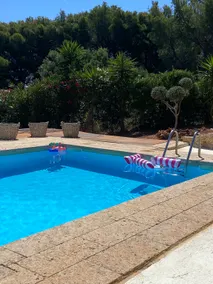 Xenia house with sea view and swimming pool - Image 2