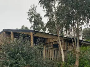 Woodland studio - Image 2
