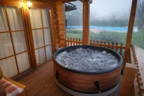 Lješnjaka House I Pool House with Sauna (5+0) - Image 5