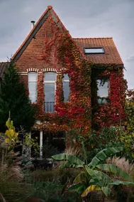 The Green Attic Ghent - Image 4