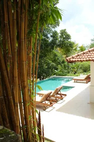 Amandari Holiday Villa - Image 2
