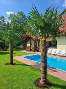 House in the clearing - Image 1