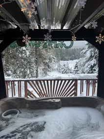 Dino's Black Bear Cabin - Image 5