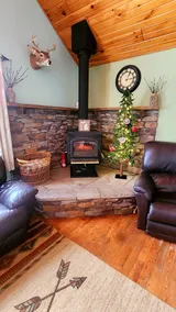 Black Bear Cottage-Hot Tub, Pet Friendly! - Image 5