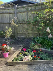 Garden Cabin - Image 5