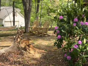 Pet Friendly, Quiet Neighborhood, Golf Course Views, Double Decks - Image 3