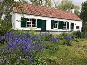 Ankerlichtje - Fisherman's house in the dunes - Image 4