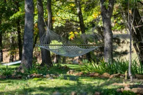 Blossom Sanctuary - Image 3