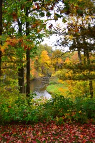 On River’s Bend | Apple River | Hiking | Camp Fire - Image 5