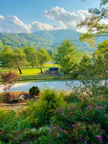 Elegant Tudor Cottage: Farm Animals, Views, Vintage Decor - Image 5