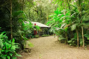 Tangará Aconchego dos Pássaros Chalet – Timbé do Sul - Image 2