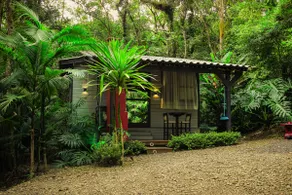Tangará Aconchego dos Pássaros Chalet – Timbé do Sul - Image 3