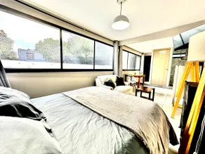 Loft, Roof garden, barbecue in Toluca, Centro - Image 4