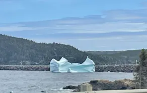Harbour View Cottages/Hot Tub/25 mins Twillingate - Image 5