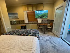 Private Entrance with Cozy courtyard Suite - Image 2