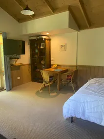 Cozy guest suite with spa bath and fireplace - Image 3