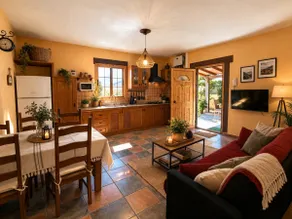 San Bartolome de Tirajana landsted med privat pool med gratis trådløs internetadgang - Image 3