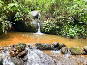 Forest, waterfall in the backyard and tranquility - Image 2