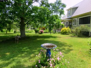 Cajun Cabin with Fishing Pier and Boat Launch! 3 Bed, 3 Bath, laundry, hot tub - Image 2