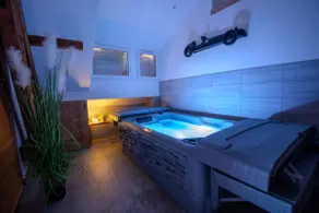 L'écrin Précieux - Clim, Spa, Sauna - 2 suites parentales - Image 2