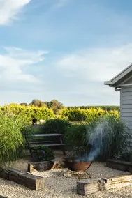 Luxury Farmstay | Feed the Alpacas, Sheep & Pony - Image 4