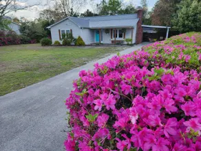 Laid back pet friendly home near downtown & beach - Image 2
