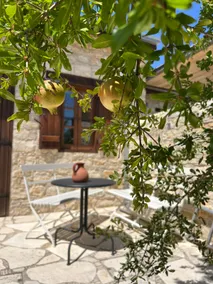 Traditional Gem: Breathtaking Views, Unique Garden - Image 5