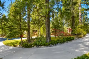 LAKEMONT PINES  •  Big Family Home  • AC • DOG + RV's - Image 5