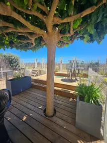 Beachfront apartment with direct beach access - Image 2