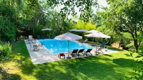 Canopy House - Image 3