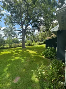 The Fox House- minutes from Sam Rayburn Lake - Image 4