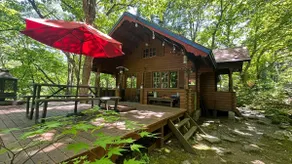 Entire property / Forest retreat / Campfire and BBQ allowed / Quiet log house for adults - Image 4
