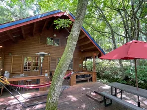 Entire property / Forest retreat / Campfire and BBQ allowed / Quiet log house for adults - Image 3