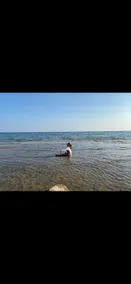 Lakeside Lookout | The Ultimate Summer Experience - Image 2