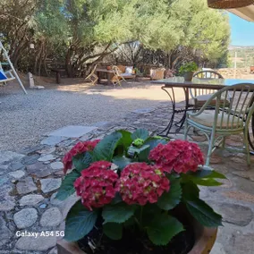 Country house a stone's throw from Porto Pollo - Image 3