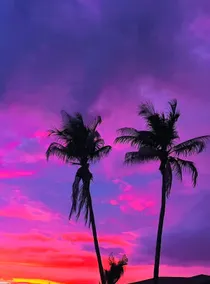 Royal Palms- Florida Vacation Destination - Image 5