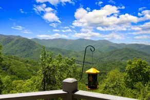 Unbelievable-Gas Fireplace-Hot Tub-*4x4 Needed!* - Image 2