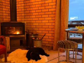 Mid-century beach front house, on five private acres, dogs welcome - Image 3