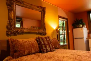 Tranquil Rainforest Studio Kuranda - Image 5