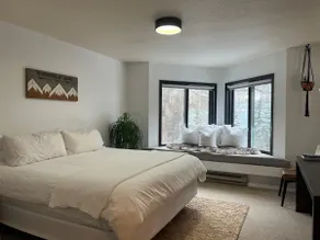 Telluride Viking Condo with River and Mountain Views! - Image 3