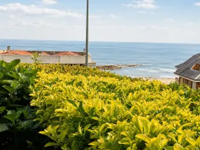 Raquel's Balcony - Image 4